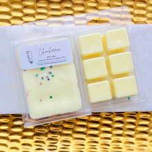 Load image into Gallery viewer, Chinchorreo