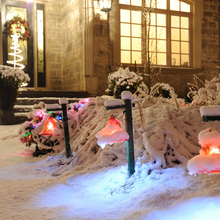 Load image into Gallery viewer, Winter White
